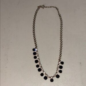 Elegant Black and Silver Necklace